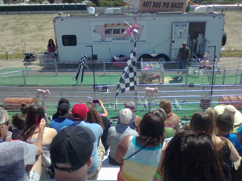 Starting grid